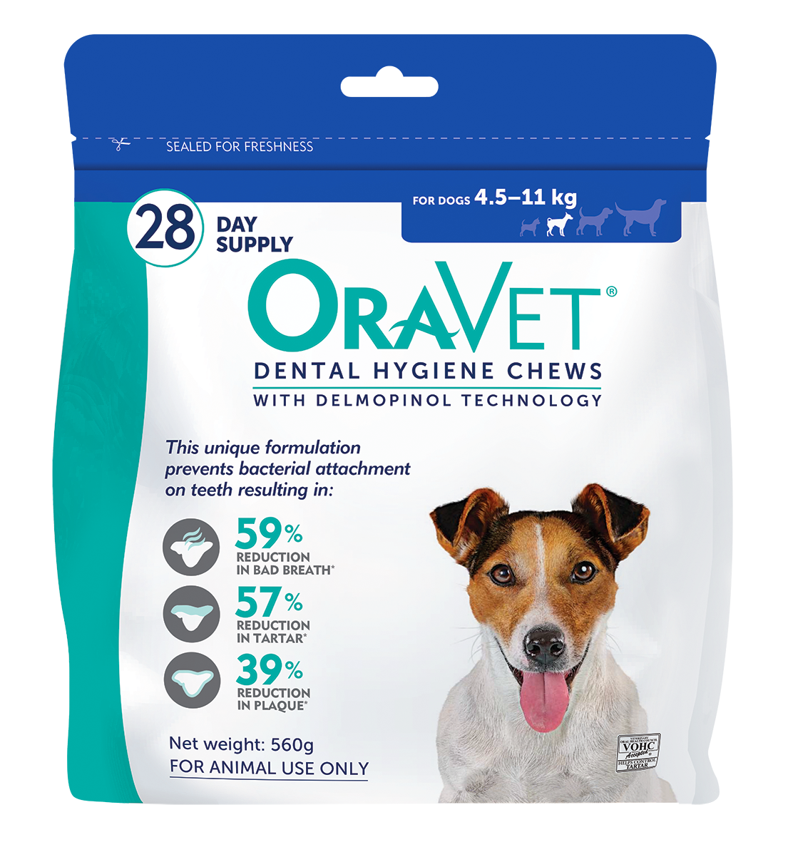 Dog food for small dogs with bad hot sale teeth