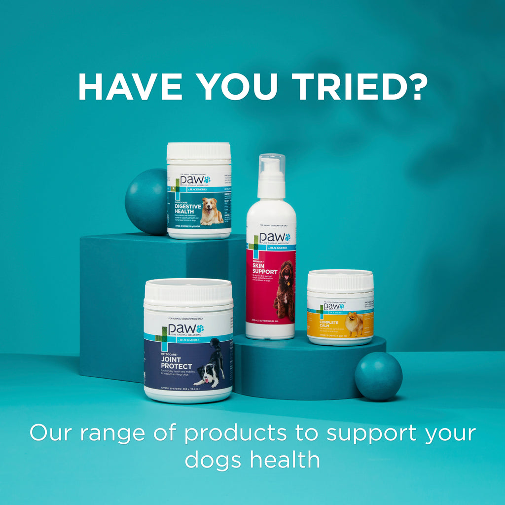 PAW Coat, Skin and Nails Chews Range of products