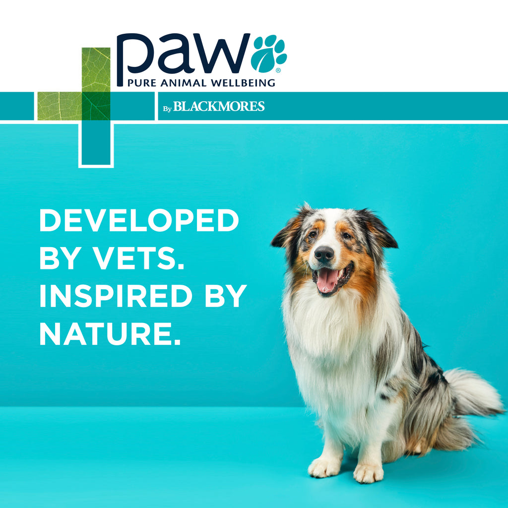 PAW Coat, Skin and Nails Chews Developed by Vets