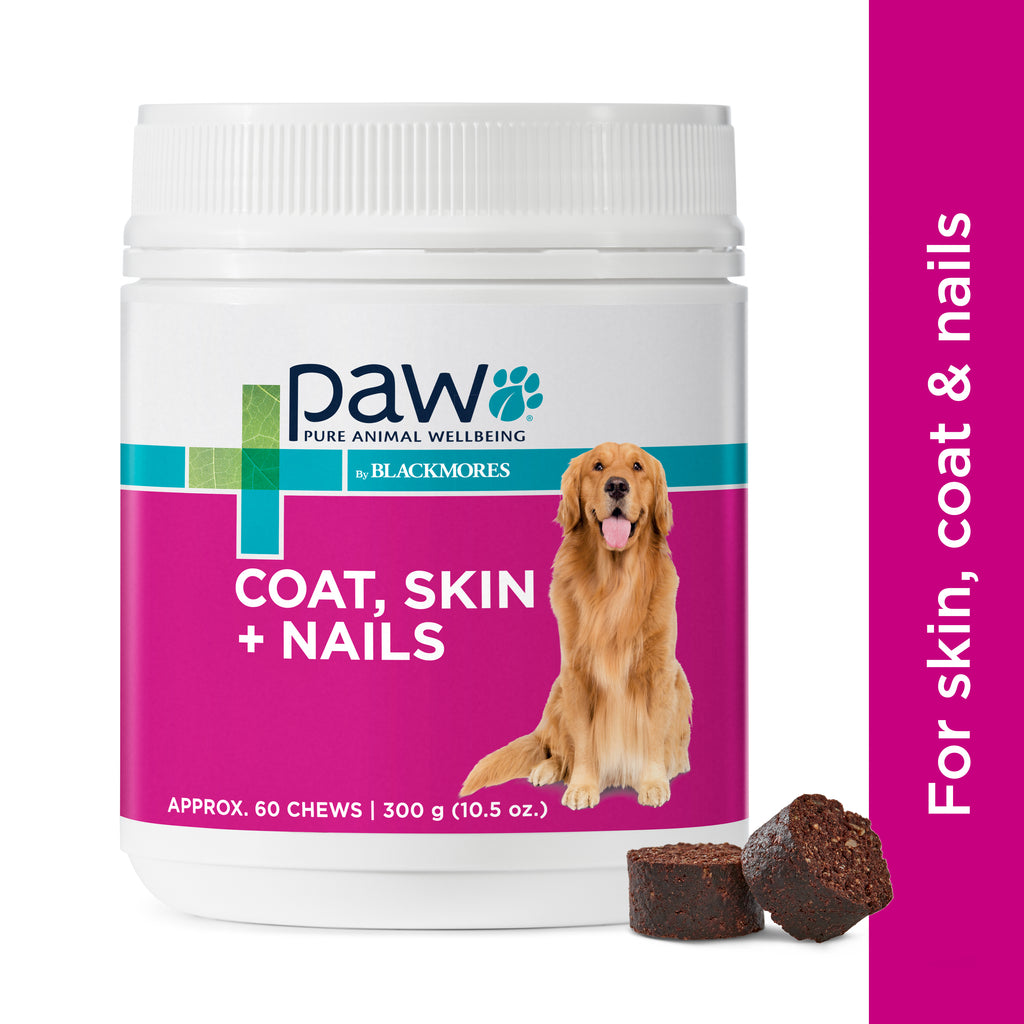 PAW Coat, Skin and Nails Chews Sample