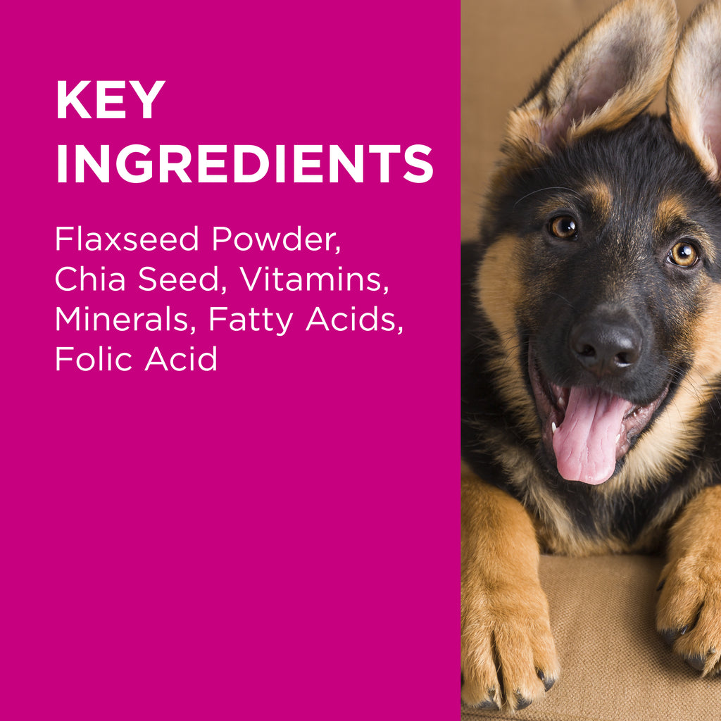 PAW Coat, Skin and Nails Chews Key Ingredient