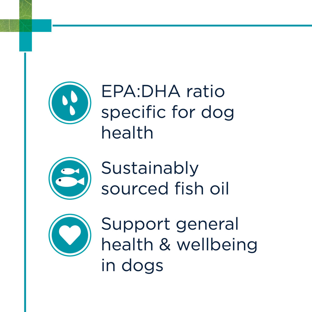 benefits of fish oil for dogs 2