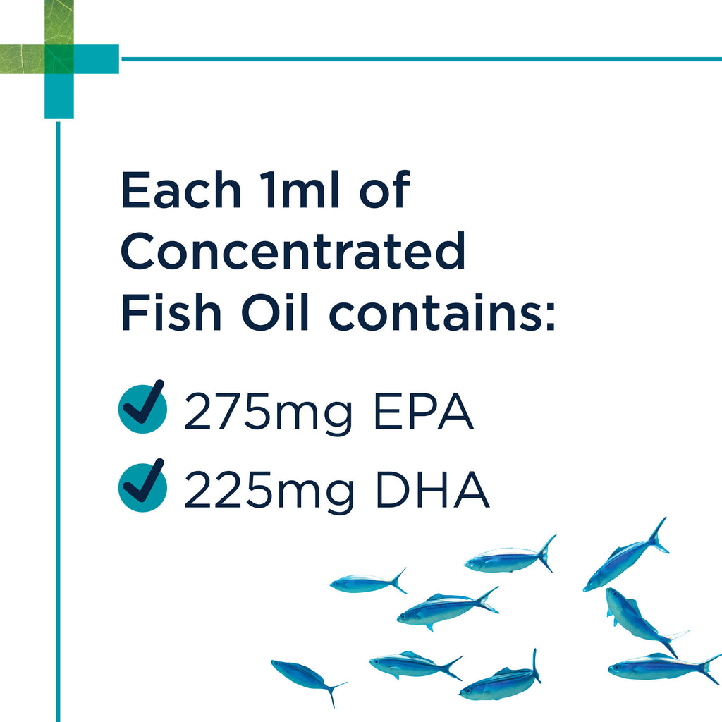 benefits of fish oil for dogs 3