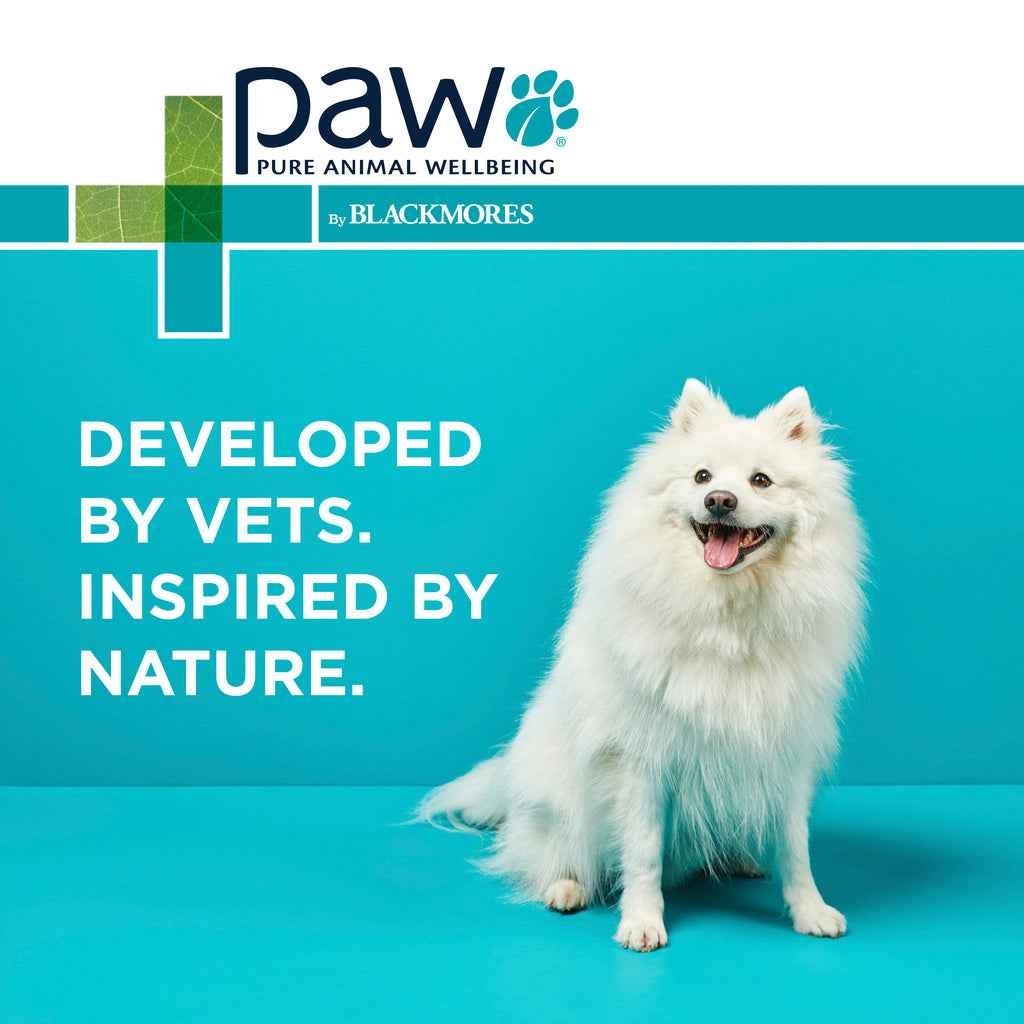 PAW by Blackmores Gentle Puppy  Spray is developed by vets 