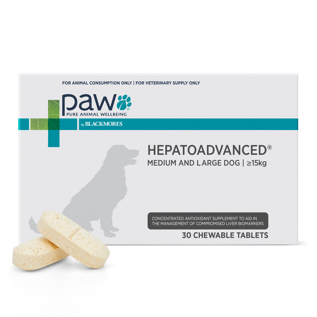 PAW by Blackmores Hepatoadvanced Liver Support for Medium & Large Dogs 30 Tablets