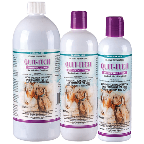 Anti itch shop lotion for dogs