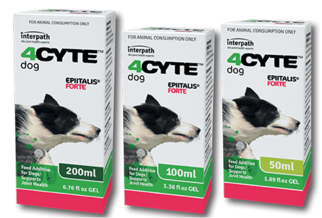 4cyte gel for dogs best sale