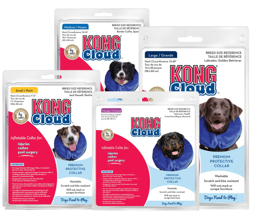 Kong inflatable dog 2024 collar