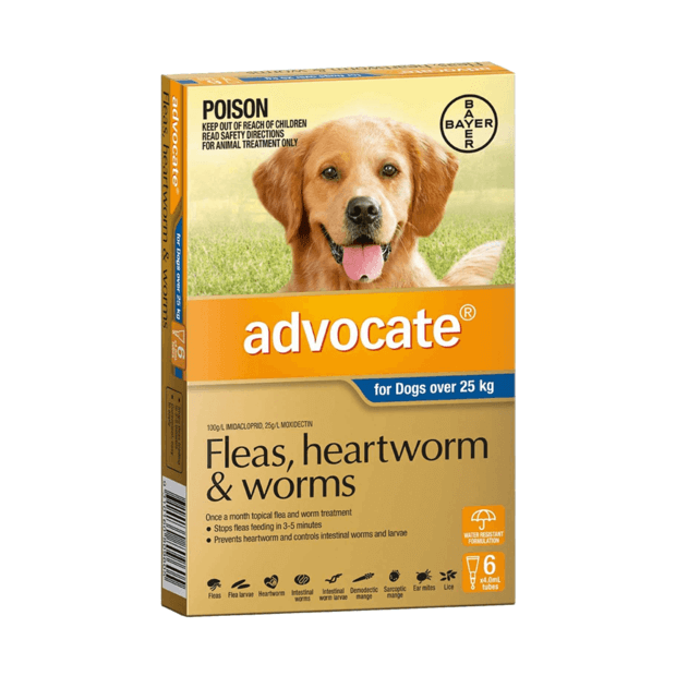 Advocate 250 online for dogs