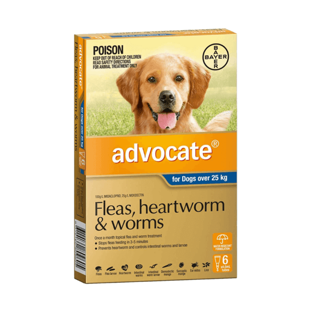 Advocate For Dogs XLarge Over 25kg 3Pack