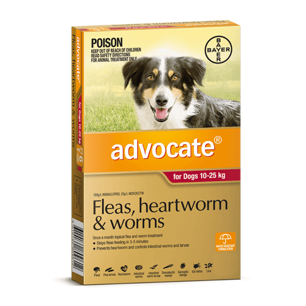 Advocate For Dogs Large Red 10-25kg 3 Pack- YourPetPA
