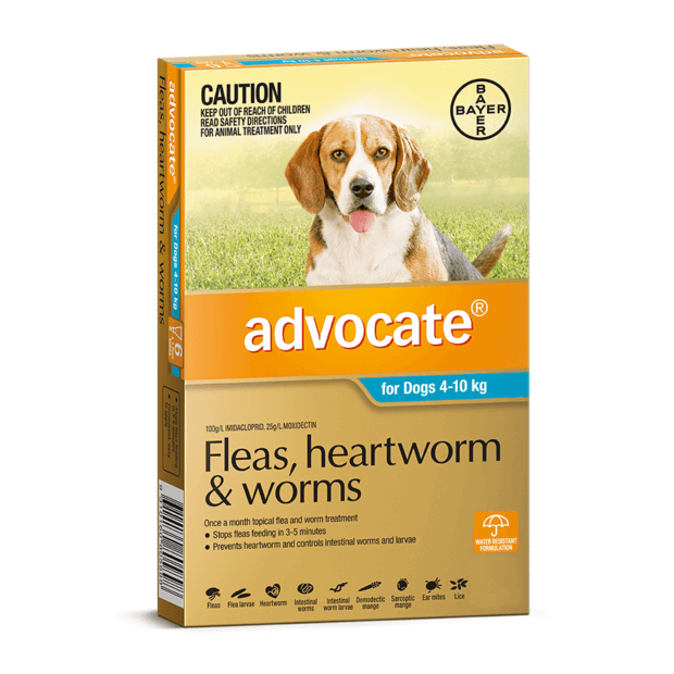 Advocate For Dogs Medium Blue 4-10kg 3 Pack- YourPetPA
