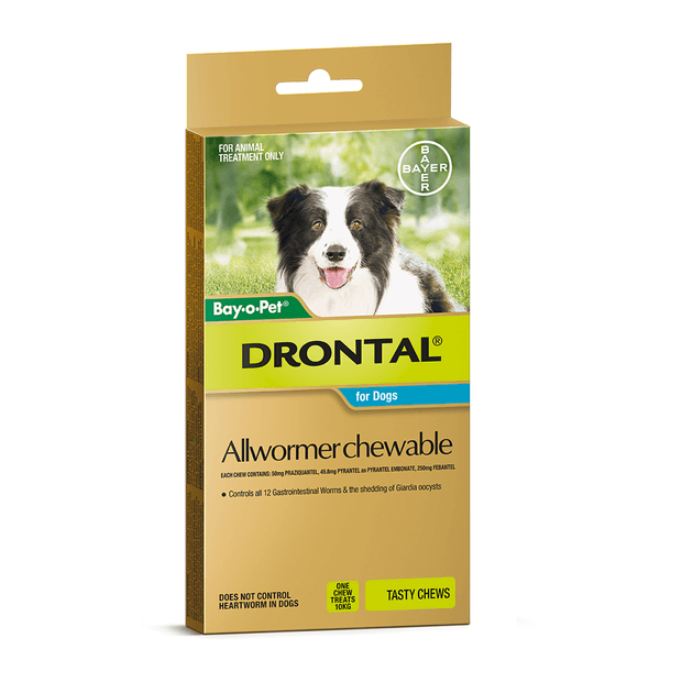 Drontal all 2025 wormer chewable