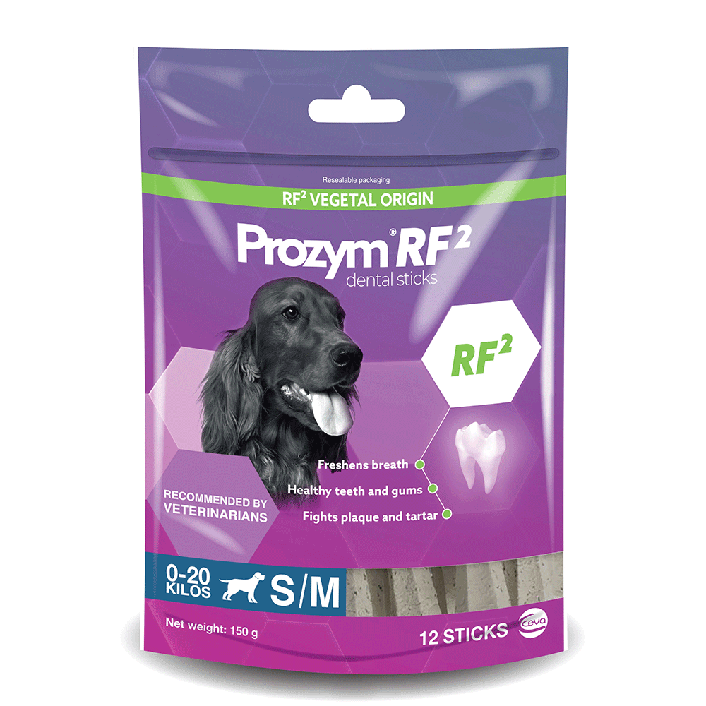 Prozym Dental Sticks