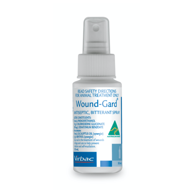 Wound guard for deals dogs